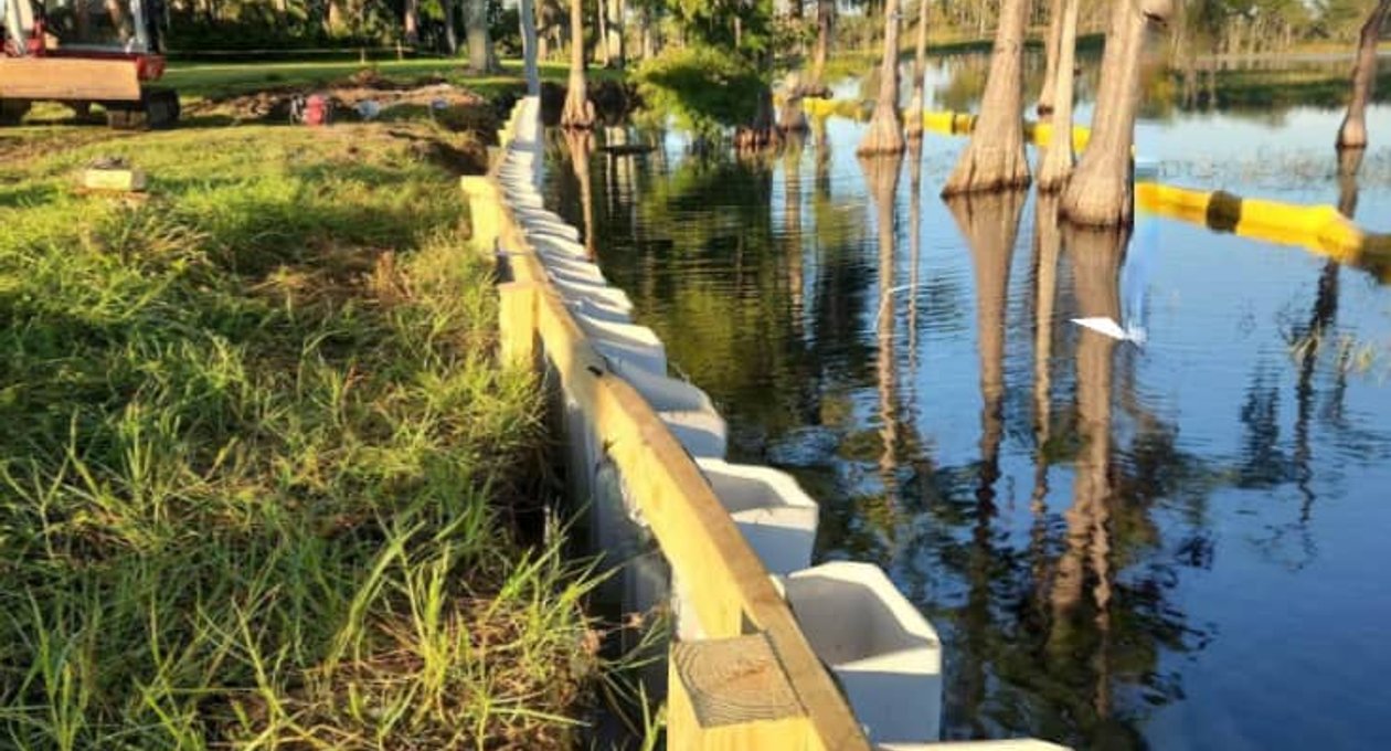 Elevated dock walkway through coastal trees
